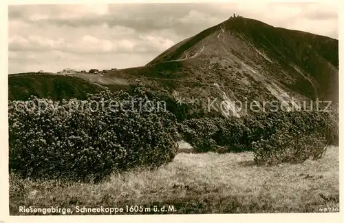 AK / Ansichtskarte  Schneekoppe_Snezka_CZ Panorama 