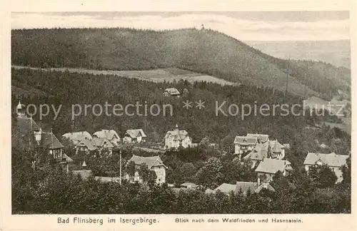 AK / Ansichtskarte 73810060 Bad_Flinsberg_Swieradow_Zdroj_PL Blick zum Waldfrieden und Hasenstein 