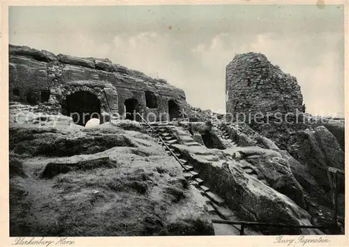 AK / Ansichtskarte 73810115 Blankenburg_Harz Burg Regenstein Blankenburg_Harz