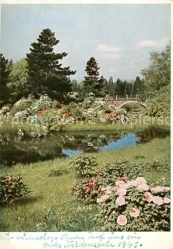 AK / Ansichtskarte 73810200 Dahlem_Berlin Staatl Botanischer Garten Paeonien und Rhododendren am Teich Dahlem_Berlin