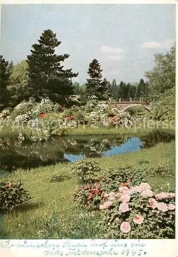 AK / Ansichtskarte  Dahlem_Berlin Staatl Botanischer Garten Paeonien und Rhododendren am Teich Dahlem_Berlin