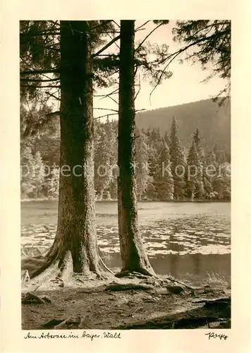 AK / Ansichtskarte  Arbersee_Bayerisch_Eisenstein Panorama 