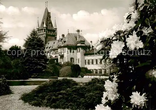 AK / Ansichtskarte  Weinheim_Bergstrasse Bluetenzauber im Schlosspark Weinheim_Bergstrasse