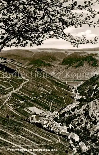 AK / Ansichtskarte  Steeg_Bacharach Panorama Steeg Bacharach