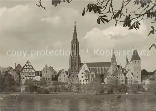 AK / Ansichtskarte  Ulm__Donau Ulmer Muenster 