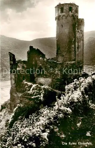 AK / Ansichtskarte  Ruedesheim_am_Rhein Ruine Ehrenfels 