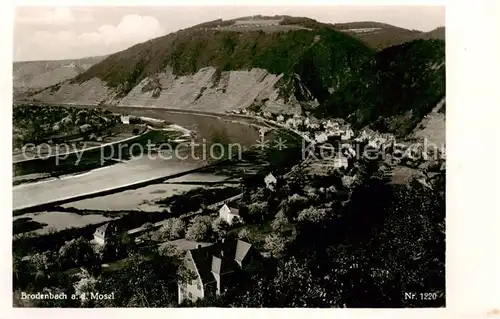 AK / Ansichtskarte  Brodenbach_Mosel Panorama 