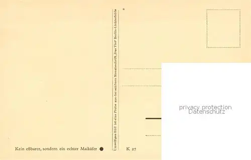 AK / Ansichtskarte  Maikaefer Maikaefer auf Blat 