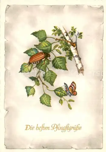 AK / Ansichtskarte  Pfingsten_Pentecost_Pentecote Maikaefer Schmetterling 