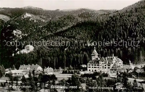 AK / Ansichtskarte 73810788 Semmering_Niederoesterreich Palace Hotel und Hotel Erzherzog Johann Semmering