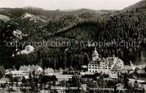 AK / Ansichtskarte  Semmering_Niederoesterreich Palace Hotel und Hotel Erzherzog Johann Semmering