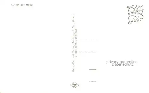 AK / Ansichtskarte  Alf_Bullay_Mosel Panorama Alf_Bullay_Mosel