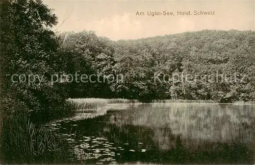 AK / Ansichtskarte 73810842 Holsteinische_Schweiz Am Uglei See Holsteinische_Schweiz