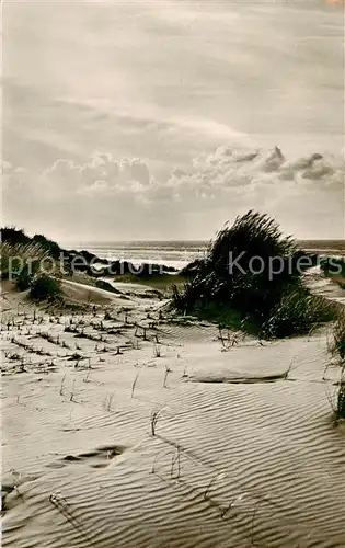 AK / Ansichtskarte  Juist_Nordseebad Duenen und Meer Juist_Nordseebad