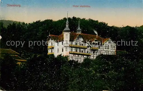 AK / Ansichtskarte  Ilsenburg_Harz Hotel Waldhoehe Ilsenburg Harz