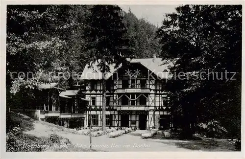 AK / Ansichtskarte  Ilsenburg_Harz Hotel Prinzess Ilse im Ilsetal Ilsenburg Harz