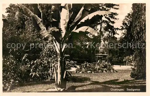 AK / Ansichtskarte  ueberlingen_Bodensee Stadtgarten ueberlingen Bodensee