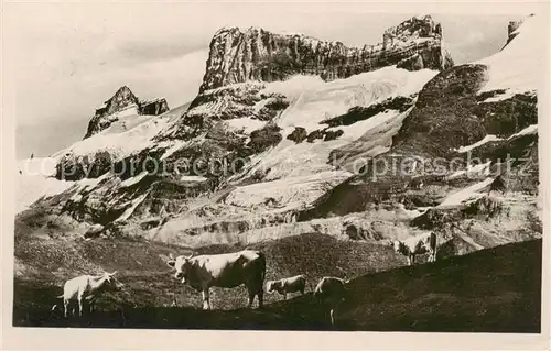 AK / Ansichtskarte Wendenstoecke_3042m_BE von der Engstlenalp aus Bergwelt Berner Alpen 