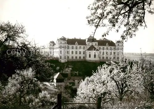 AK / Ansichtskarte  Tettnang Schloss Baumbluete Tettnang