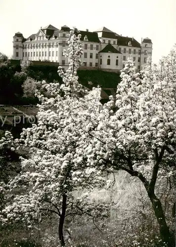 AK / Ansichtskarte  Tettnang Schloss Baumbluete Tettnang