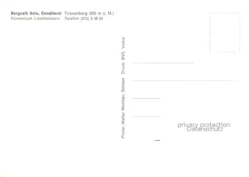 AK / Ansichtskarte  Triesenberg_Liechtenstein_FL Bergcafe Sele Conditorei Gaststub 