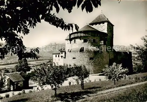 AK / Ansichtskarte 73811193 Liechtenstein_Fuerstentum Schloss Vaduz mit Rheintalblick und Saentisgruppe 