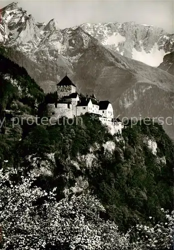 AK / Ansichtskarte 73811196 Liechtenstein_Fuerstentum Schloss Vaduz mit Falknis 