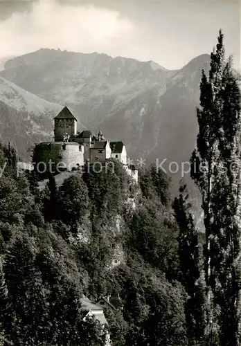 AK / Ansichtskarte  Liechtenstein_Fuerstentum Schloss Vaduz 