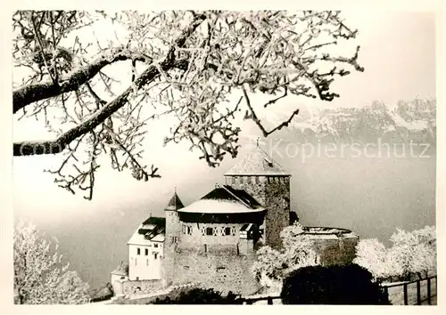 AK / Ansichtskarte 73811202 Liechtenstein_Fuerstentum Schloss Vaduz 