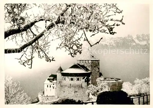 AK / Ansichtskarte  Liechtenstein_Fuerstentum Schloss Vaduz 