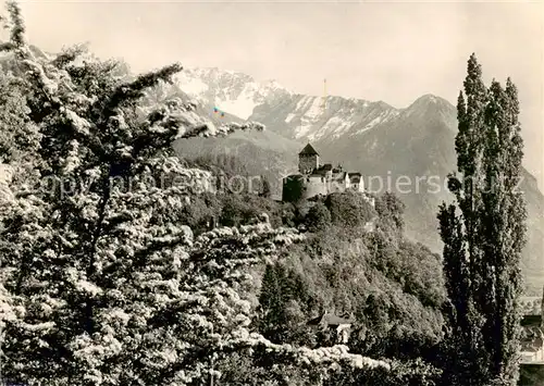 AK / Ansichtskarte  Liechtenstein_Fuerstentum Schloss Vaduz 