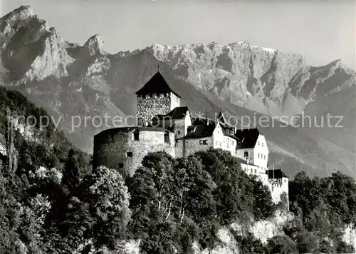 AK / Ansichtskarte 73811208 Liechtenstein_Fuerstentum Schloss Vaduz mit Rappenstein und Falknis 