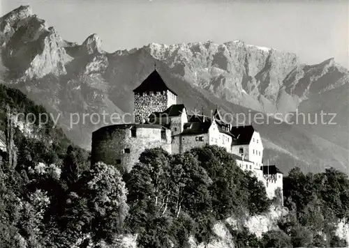 AK / Ansichtskarte  Liechtenstein_Fuerstentum Schloss Vaduz mit Rappenstein und Falknis 