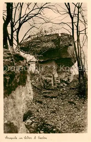 AK / Ansichtskarte  Freden_Leine Steinpilz im Selter Freden_Leine