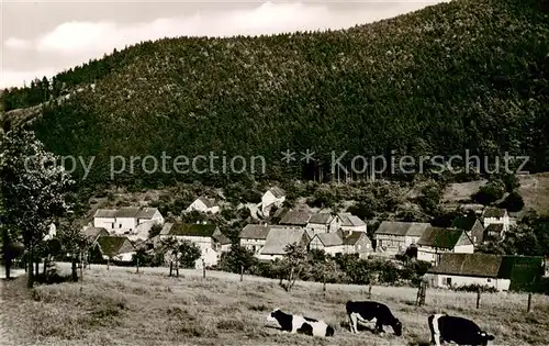 AK / Ansichtskarte  Ziegenhagen_Witzenhausen Panorama Ziegenhagen Witzenhausen