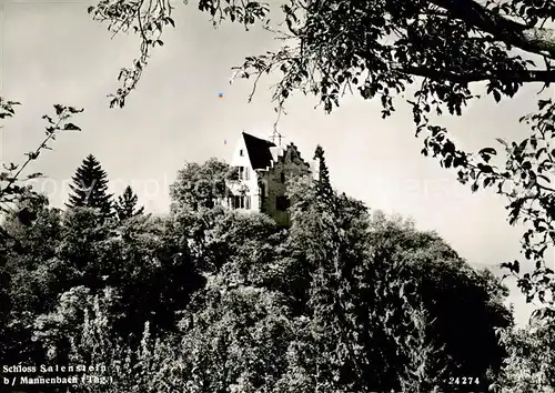 AK / Ansichtskarte Mannenbach Salenstein_TG Schloss Salenstein 