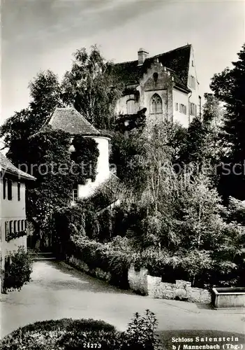 AK / Ansichtskarte Mannenbach Salenstein_TG Schloss Salenstein 