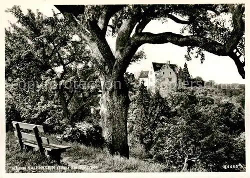 AK / Ansichtskarte Salenstein_TG Schloss Salenstein_TG