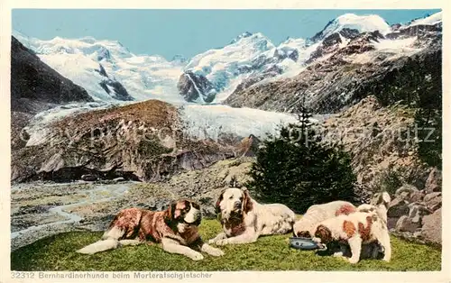 AK / Ansichtskarte Morteratschgletscher Bernhardinerhunde Gletscherpanorama Morteratschgletscher