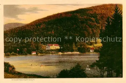 AK / Ansichtskarte  Wiesenbeker-Teich_Wiesenbecker-Teich_Bad_Lauterberg Seepartie 