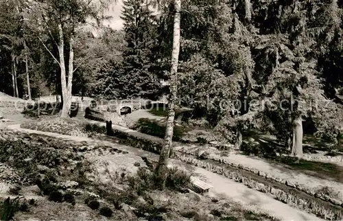 AK / Ansichtskarte  Bad_Sachsa_Harz Im Kurpark Bad_Sachsa_Harz