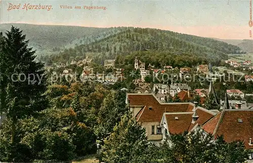 AK / Ansichtskarte  Bad_Harzburg Villen am Papenberg Bad_Harzburg