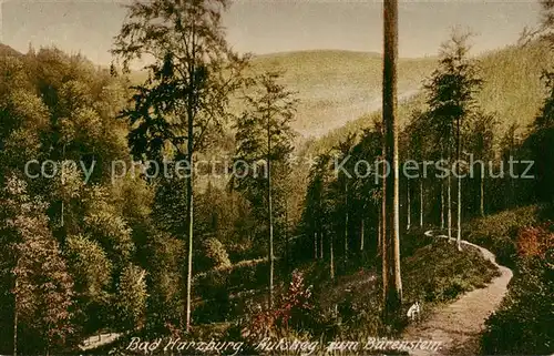 AK / Ansichtskarte  Bad_Harzburg Aufstieg zum Baerenstein Bad_Harzburg