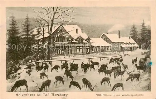 AK / Ansichtskarte  Bad_Harzburg Molkenhaus Wildfuetterung am Wintersportplatz Bad_Harzburg