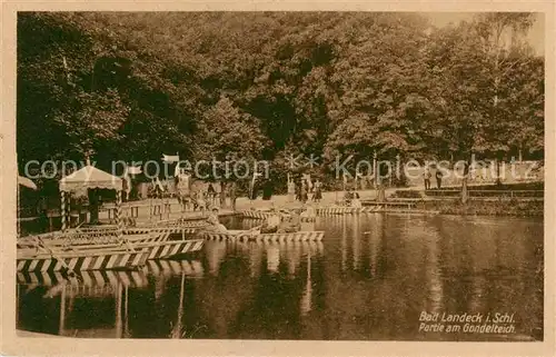 AK / Ansichtskarte  Bad_Landeck_Schlesien_PL Partie am Gondelteich 