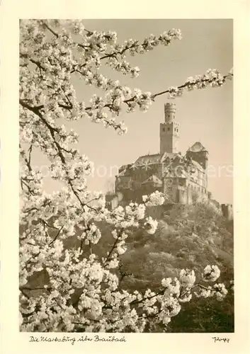 AK / Ansichtskarte  Braubach_Rhein Fruehling an der Marksburg Baumbluete Braubach Rhein