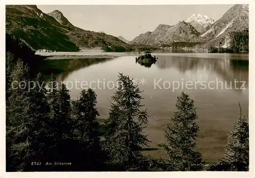 AK / Ansichtskarte Sils_Maria_GR Panorama Silsersee Alpen 