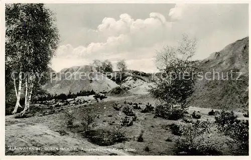 AK / Ansichtskarte Dueben_Bad_Mulde Alaunwerk Ausgewaschene Alaunhalden 