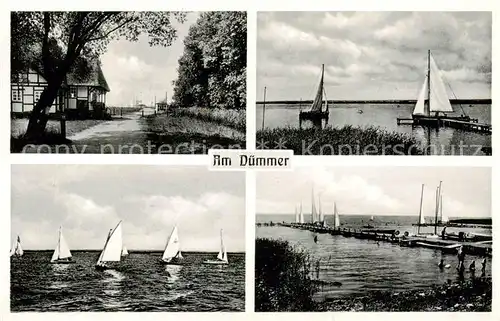 AK / Ansichtskarte Duemmer_ See_Diepholz Fischteich Bademoeglichkeiten Segelregatta Seebruecke 