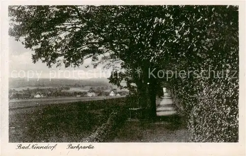 AK / Ansichtskarte Bad_Nenndorf Parkpartie Bad_Nenndorf